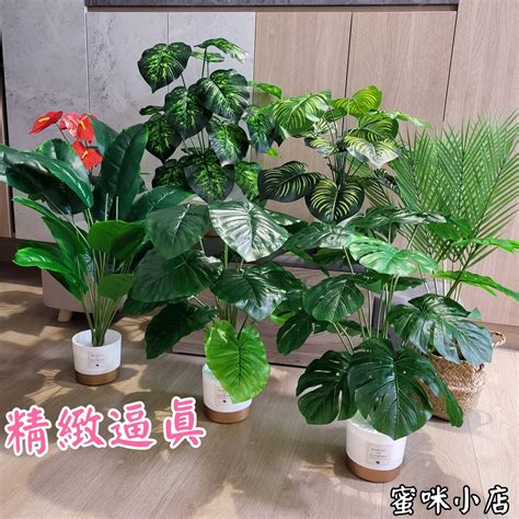 室內假植物|仿真植物｜優惠推